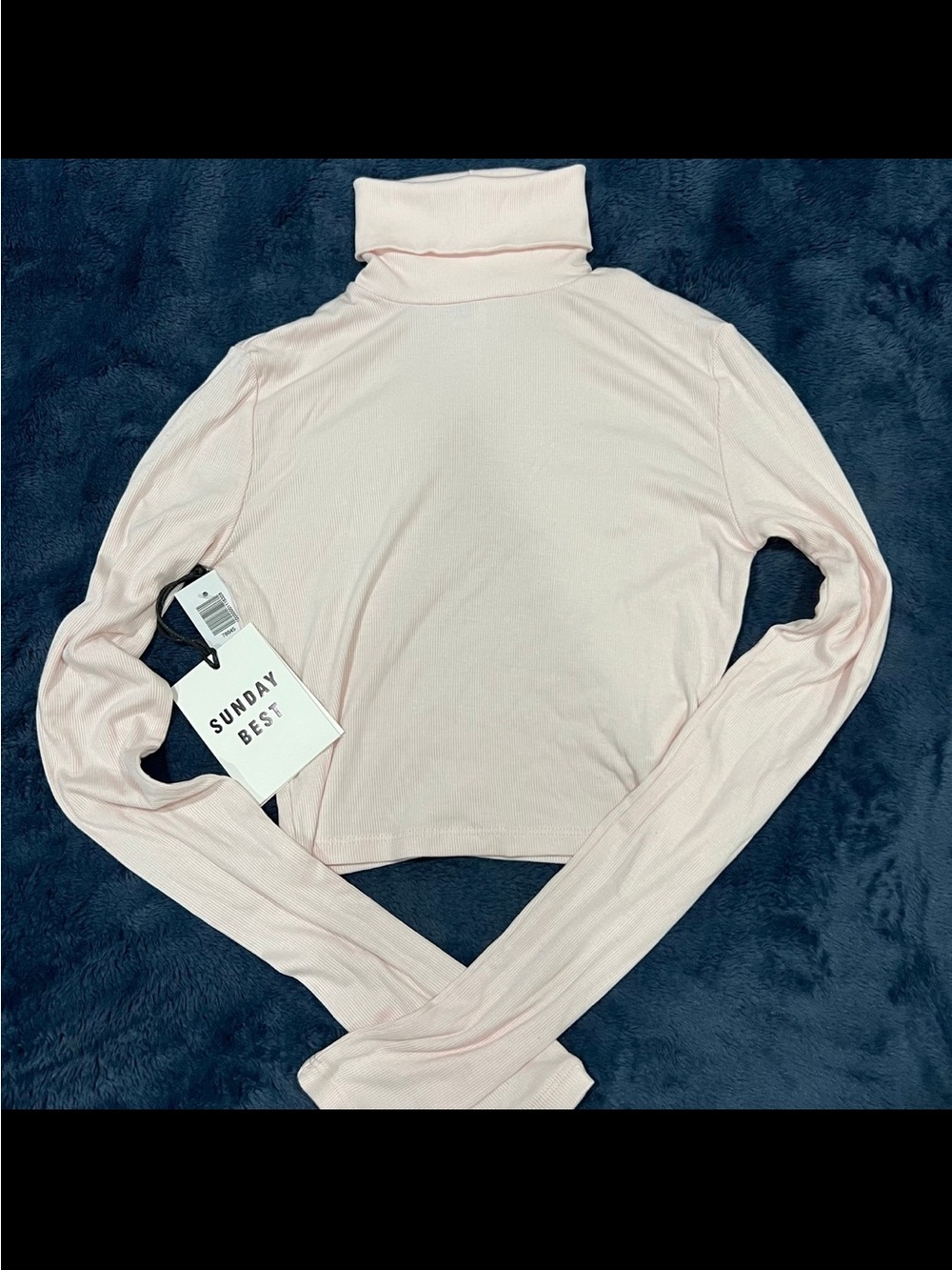 Aritzia Sunday Best Pale Pink Ribbed Turtleneck Crop Top